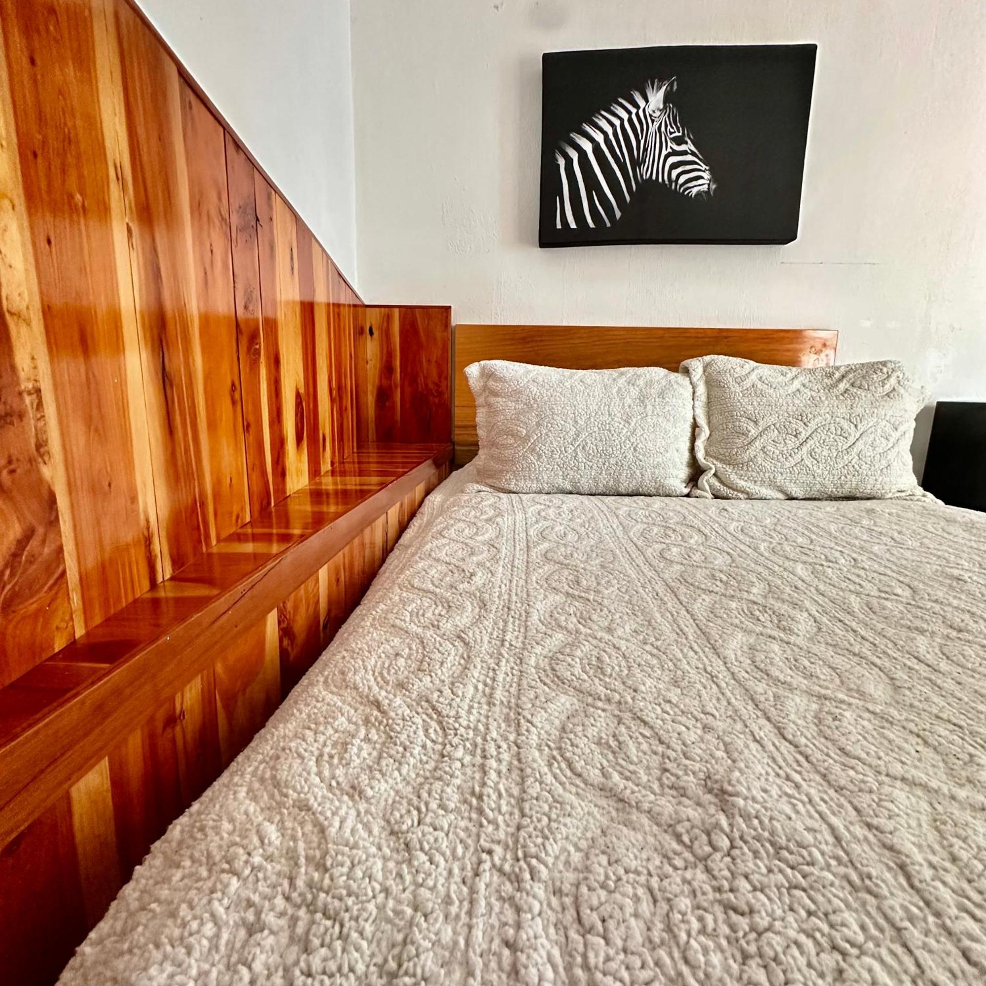 San Cristóbal de Las Casas La Etelvina Suites מראה חיצוני תמונה